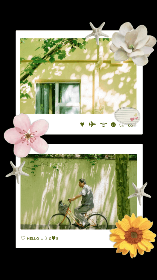 Sommer & Natur - Foto Collage Vorlage