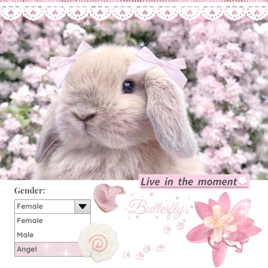 Pink Coquette Bunny Scrapbook Collage Template