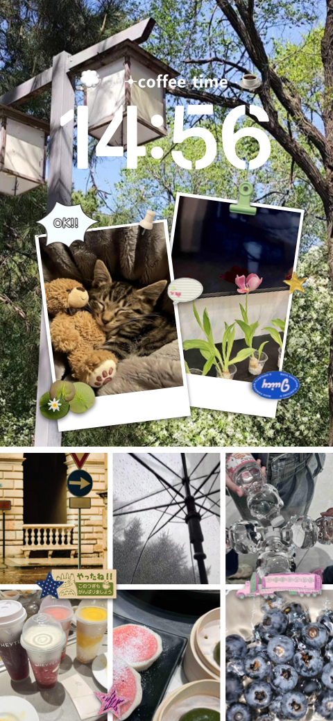 Journal Photo Esthétique - Modèle de Fond d'Écran DIY